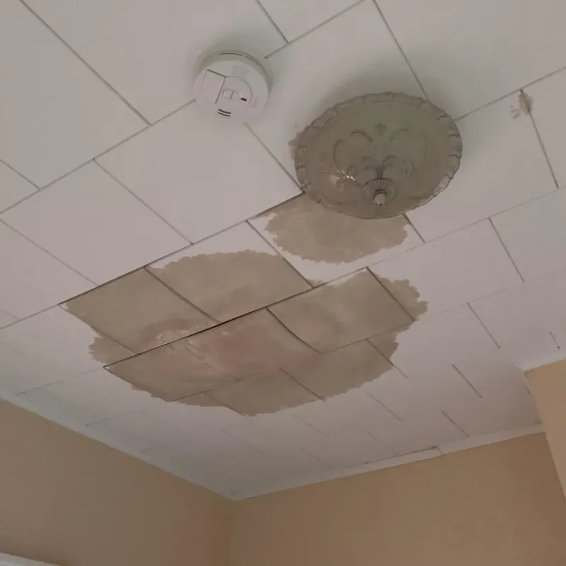 Ceiling Water Damage Repair in Ayer, MA